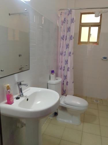 a bathroom with a sink and a toilet and a mirror at Peaceful Paradise in Gatunga