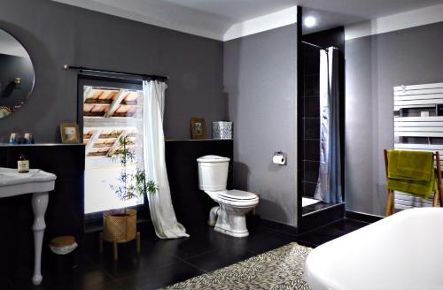 a bathroom with a toilet and a shower at Chambres d'hôtes l'allegra in Saint-Euphrône