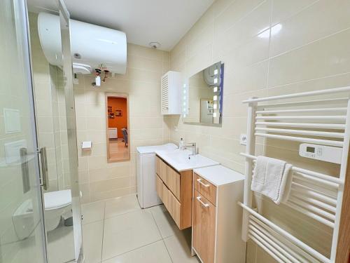 a bathroom with a sink and a toilet and a shower at L'Ariane, Vue sur le château in Foix
