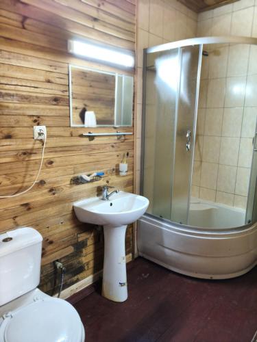 a bathroom with a toilet and a sink and a shower at Калина in Deneshi
