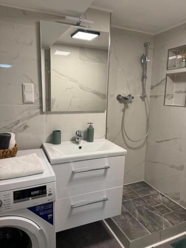 a bathroom with a washing machine and a sink at Studio apartment in Karben