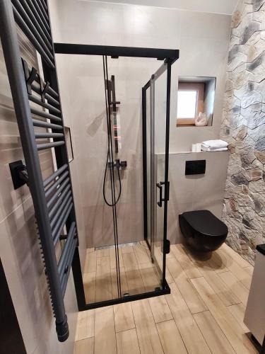 a bathroom with a glass shower with a toilet at Miejscówka Werlas in Werlas