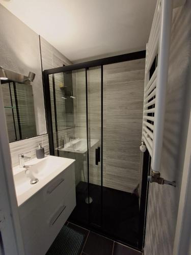 a bathroom with a shower and a white sink at Appartement Véronica - Villa Damary in La Bourboule
