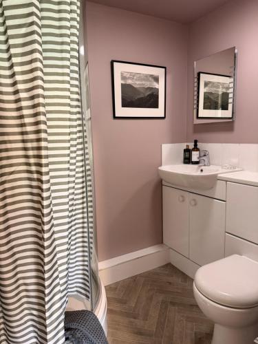 a bathroom with a toilet and a sink at The Bothy in Pewsey