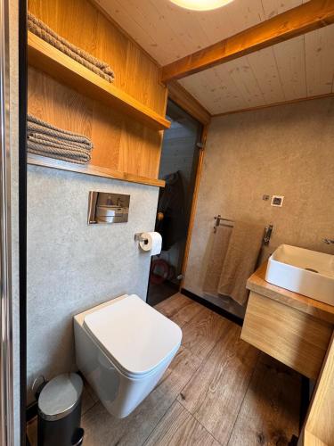 a bathroom with a toilet and a sink at Tiny Haus Seeadler in Schwasdorf