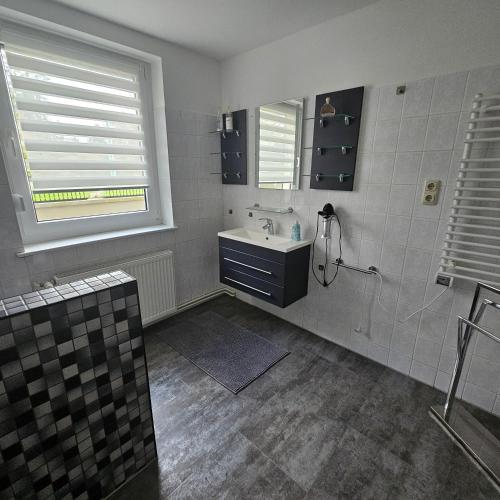 a bathroom with a sink and a mirror at Gartenblick Trebbin in Trebbin