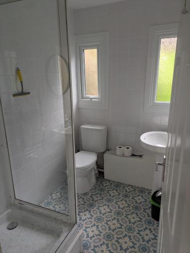 a bathroom with a shower and a toilet and a sink at Hillside Chalet in Kilkhampton