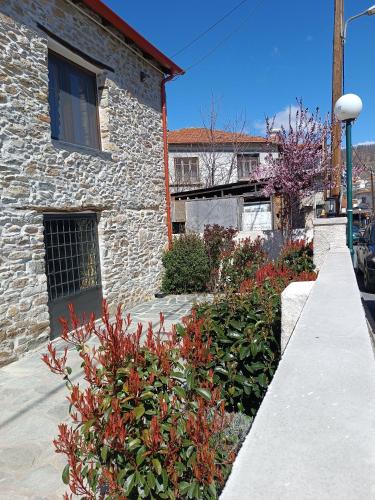 Foto Casa Lehovo 2