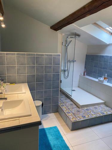 a bathroom with a shower and a sink at Chateau de Plombières Maison Gauthier Dijon in Plombières-lès-Dijon