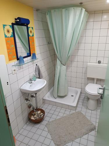 a bathroom with a sink and a toilet and a mirror at Studio im Krater in Wallerstein