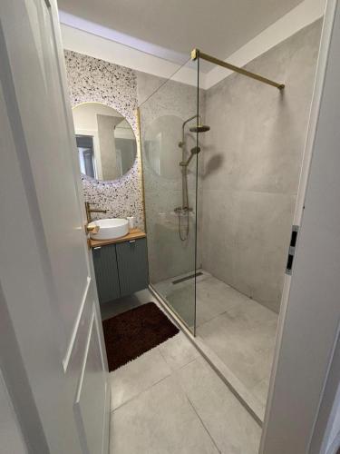 a bathroom with a shower and a sink at Apartament Eroilor Residence in Floreşti