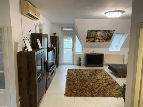 a living room with a television and a rug at Central Vibe Apartman in Kecskemét