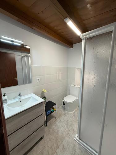 a bathroom with a shower and a sink and a toilet at Casa del Carabinero in Fermoselle