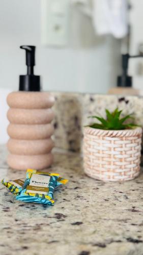 a packet of toothpaste on a counter next to a plant at Seu refúgio com vista para o mar in Vila Velha