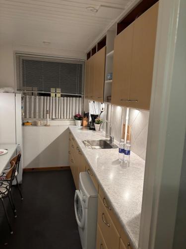 a small kitchen with a sink and a dishwasher at Apartment 2 min from airport 10 min to city in Copenhagen