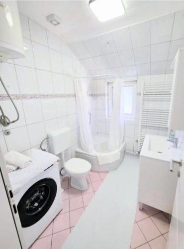 a bathroom with a toilet and a sink and a washing machine at Stan na dan Bumbar in Kostajnica