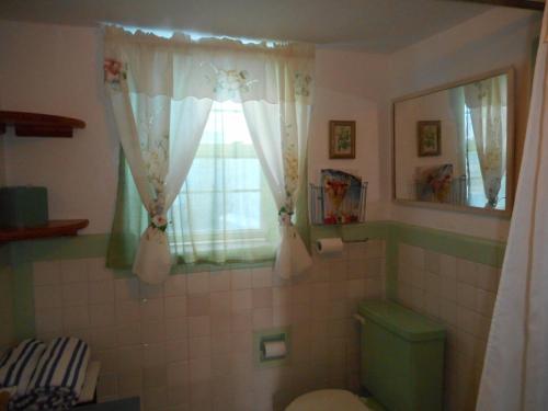 a bathroom with a green toilet and a window at Blue Horizons Guest House in Hamilton
