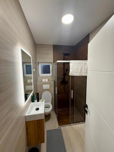 ein Badezimmer mit Dusche, Toilette und Waschbecken in der Unterkunft Valina in Kozinšćak