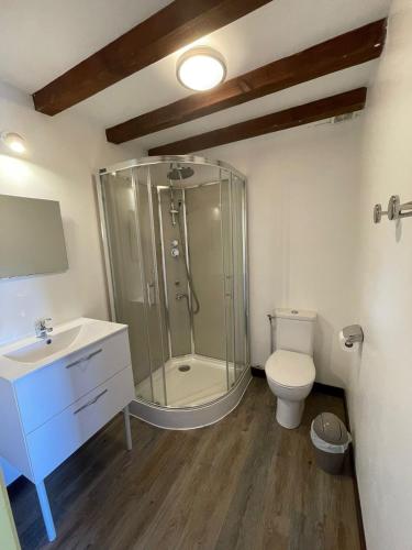a bathroom with a shower and a toilet and a sink at Le moulin de vaux in Nochizé