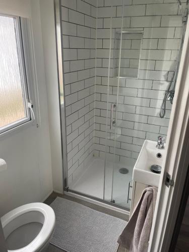 a bathroom with a shower and a toilet and a sink at Alberta holiday park in Whitstable