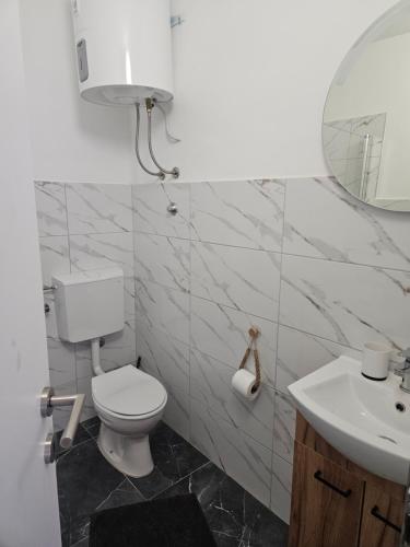 a bathroom with a white toilet and a sink at APP EMONA in Bašanija
