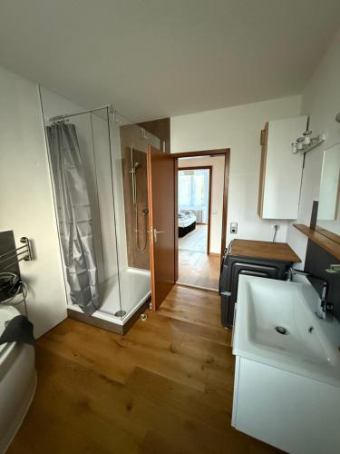 a bathroom with a shower and a sink at Ferienhaus Alpenblick in Steinen