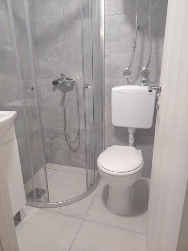 a bathroom with a toilet and a shower at Studio BIANCA in Kotor