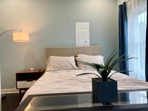 a bedroom with a bed with a potted plant at Cozy Gem Mins from U of L Hospital & Downtown in Louisville