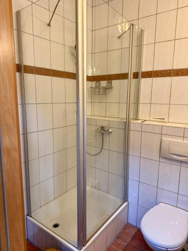 a shower stall with a toilet in a bathroom at Apartment-Herrlingen in Blaustein