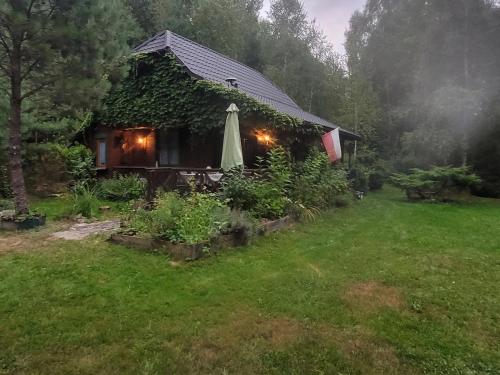 Forest Sulimówka - dom na wyłączność z dala od sąsiadów
