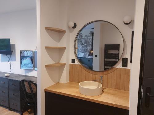 a bathroom with a sink and a mirror on a counter at Maison à ROSCOFF avec vue mer in Roscoff