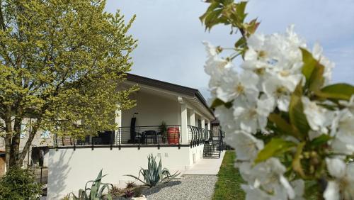 Foto APPARTAMENTO " Le Terre del Garda " 1