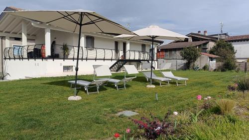 Foto APPARTAMENTO " Le Terre del Garda " 2