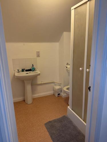 a bathroom with a sink and a toilet at The BILLINGFORD HORSESHOES in Scole