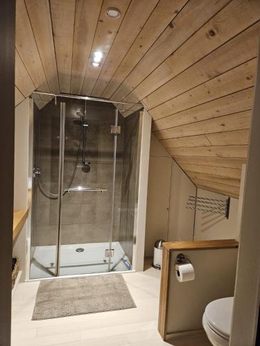 a bathroom with a shower and a toilet at B&B Chocla-dort in Koekelare