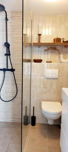 a bathroom with a shower and a toilet in it at TuksandDutsMeppel in Meppel