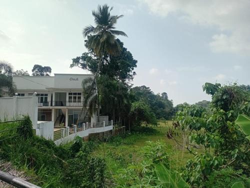 a palm tree in front of a house at Omik Residence in Dinapamunuwa