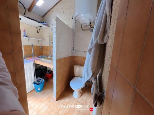 a small bathroom with a toilet and a sink at La Carabasse / Mazet 69 in Vias