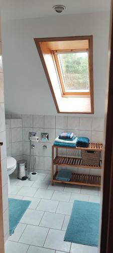 a bathroom with a sink and a toilet and a window at Forsthaus Stagnieß in Ueckeritz