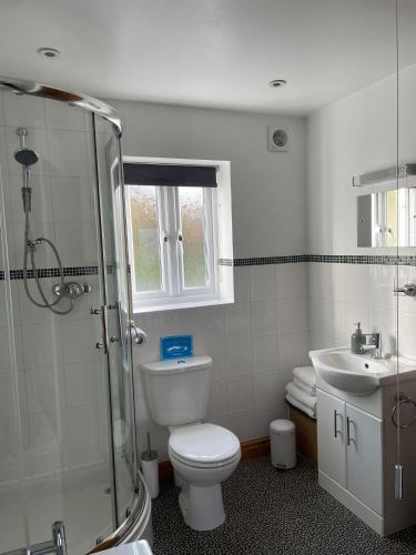 a bathroom with a toilet and a shower and a sink at Bwlch Cottage in Gwaynynog