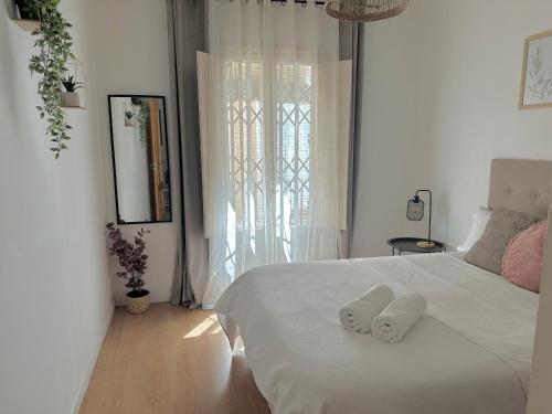 Casa Roman