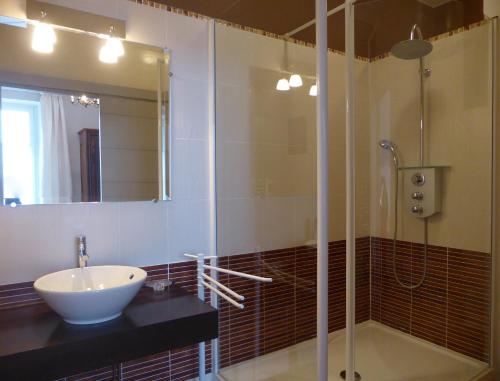 a bathroom with a sink and a shower with a sink at Maison d'hôtes Le Château de Puxe in Puxe