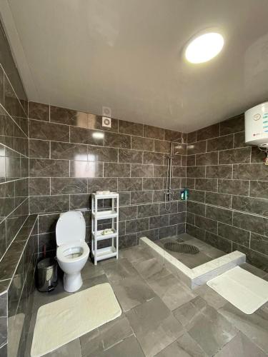 a bathroom with a toilet and a shower and a tub at Arca lui Roman in Furceni