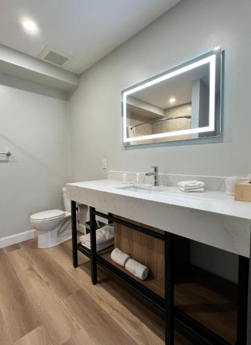 a bathroom with a sink and a toilet at Wellington Inn in Bracebridge