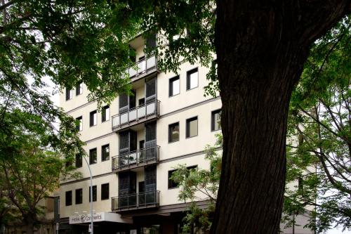 a white building with balconies and a tree at Hotel Continental in Reggio Calabria