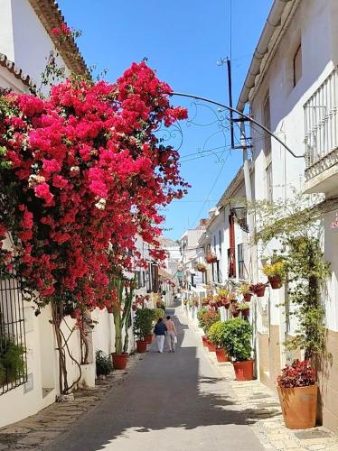 Old Town Estepona Center near beach - Free Parking - Paraíso Soleado photo 14