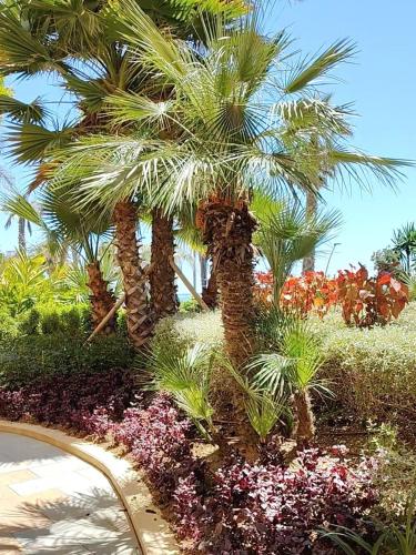 Old Town Estepona Center near beach - Free Parking - Paraíso Soleado photo 15