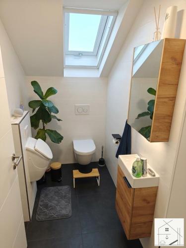 ein Badezimmer mit Waschbecken, Toilette und Dachfenster in der Unterkunft Lichtloft Fränkische Schweiz in Ebermannstadt