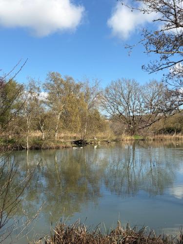 a view of a lake with trees in the background at Logement au bord de l eau in Dordives