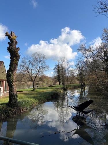 a bird standing in the water next to a river at Logement au bord de l eau in Dordives